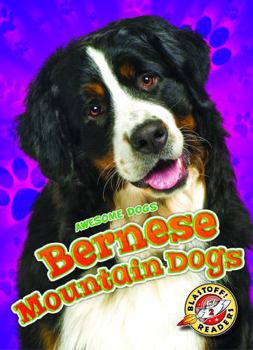 Bernese Mountain Dogs - Book  of the Awesome Dogs