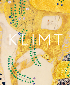 Hardcover Klimt: The Bigger Picture Book