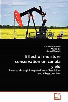 Paperback Effect of moisture conservation on canola yield Book