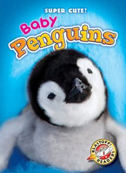 Baby Penguins - Book  of the Super Cute!