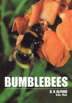 Paperback Bumble Bees Book
