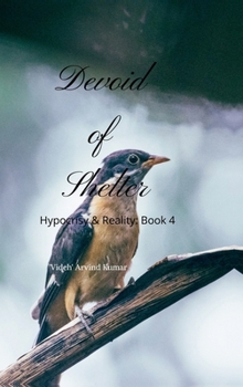Devoid of Shelter: Hypocrisy & Reality: Book 4