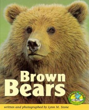 Hardcover Brown Bears Book