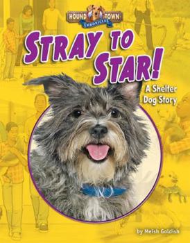 Library Binding Stray to Star!: A Shelter Dog Story Book