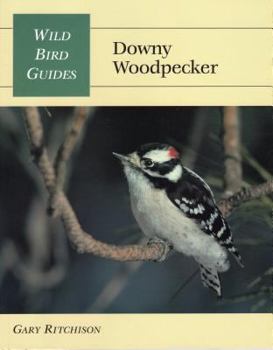 Hardcover Wild Bird Guide: Downy Woodpecker Book