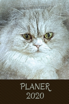 Planer 2020: Terminplaner 12 Monate Monatsplaner und Wochenplaner Organizer Perser Katze Aquarell