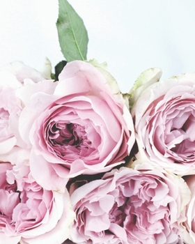 Bullet Journal Dot Grid Notebook