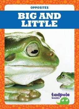 Paperback Big and Little Book