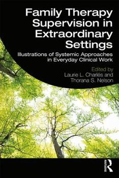 Paperback Family Therapy Supervision in Extraordinary Settings: Illustrations of Systemic Approaches in Everyday Clinical Work Book