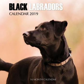 Paperback Black Labradors Calendar 2019: 16 Month Calendar Book