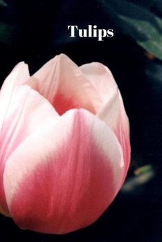 Paperback Tulips Book