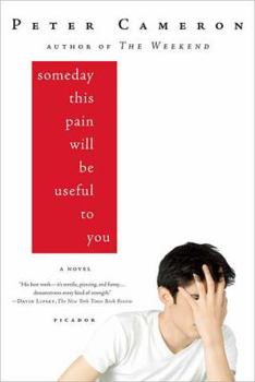 Paperback Someday This Pain Will Be Useful to You Book