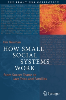 Paperback How Small Social Systems Work: From Soccer Teams to Jazz Trios and Families Book