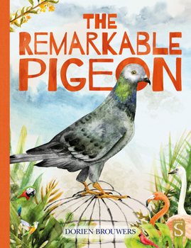 Hardcover The Remarkable Pigeon Book