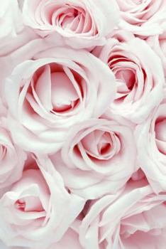 Pink Roses: Journal/Notebook/Diary