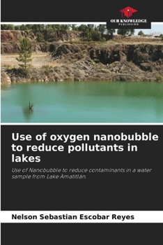 Paperback Use of oxygen nanobubble to reduce pollutants in lakes Book