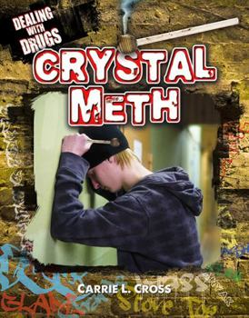 Hardcover Crystal Meth Book