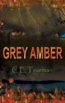 Paperback Grey Amber Book