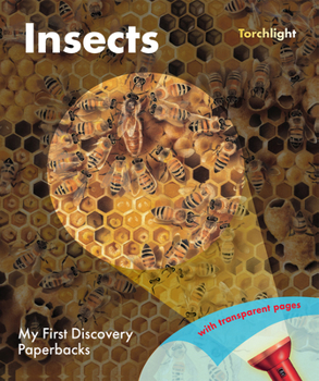 Paperback Insects Book