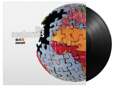 Vinyl Do It Yourself  25 Th Anniversary Edition Book