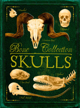 Paperback Bone Collection: Skulls Book
