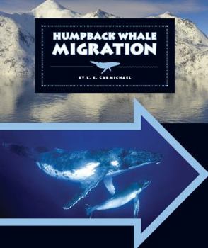 Library Binding Humpback Whale Migration Book
