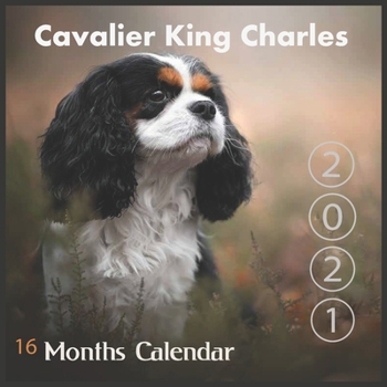 Paperback Cavalier king Charles Calendar 2021: Wall & Office Calendar, 16 Month Cavapoo Puppies Calendar with Major Holidays Book