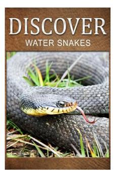 Paperback Water Snake - Discover: Early reader's wildlife photography book