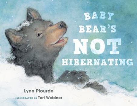 Hardcover Baby Bear's Not Hibernating Book