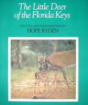 Hardcover Little Deer of the Florida Keys Book