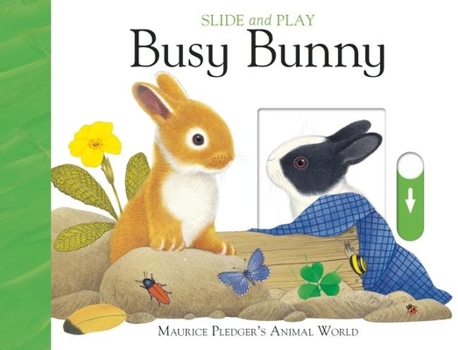 Board book Slide and Play: Busy Bunny Book