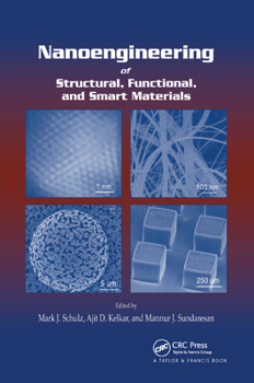 Paperback Nanoengineering of Structural, Functional and Smart Materials Book