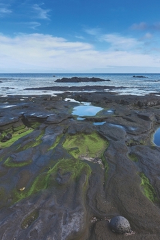 Kalender 2020: Wochenplaner Galapagos Edition | Praktischer Organizer im DIN A5 Format für Weltenbummler mit Fernweh | 1 Doppelseite = 1 Woche (German Edition)