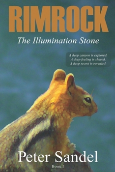 Paperback The Illumination Stone Book