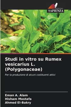 Paperback Studi in vitro su Rumex vesicarius L. (Polygonaceae) [Italian] Book