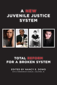 A New Juvenile Justice System: Total Reform for a Broken System - Book  of the Families, Law, and Society