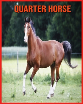Paperback Quarter Horse: Images et Informations Etonnantes Concernant les Quarter Horse [French] Book