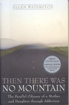Paperback Then There Was No Mountain: A Parallel Odyssey of a Mother and Daughter Through Addiction Book