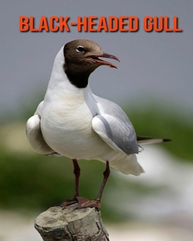 Paperback Black-Headed Gull: Amazing Facts about Black-Headed Gull Book