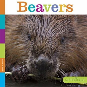 Beavers - Book  of the Seedlings