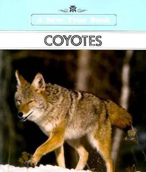 Paperback Coyotes Book