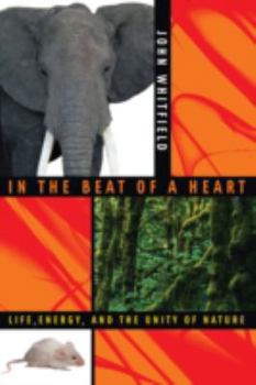 Hardcover In the Beat of a Heart: Life, Energy, and the Unity of Nature Book