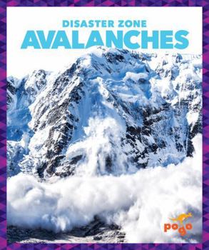 Library Binding Avalanches Book