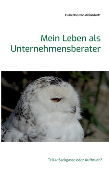 Paperback Mein Leben als Unternehmensberater: Teil 4: Sackgasse oder Aufbruch? [German] Book