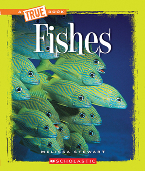 Paperback Fishes (a True Book: Animals) Book