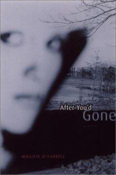 Hardcover After You'd Gone Book