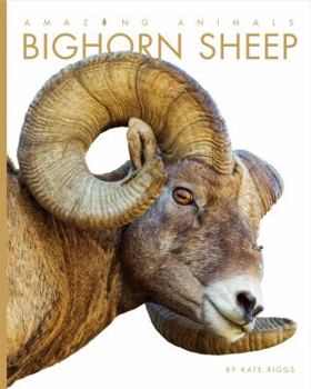 Bighorn Sheep - Book  of the Amazing Animals