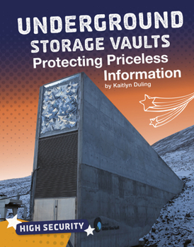 Hardcover Underground Storage Vaults: Protecting Priceless Information Book