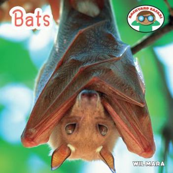 Bats - Book  of the Backyard Safari