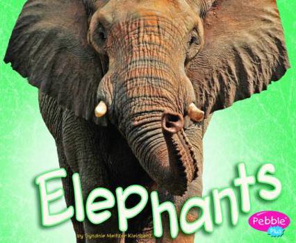 Hardcover Elephants Book